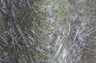 South Church fibreglass roof work